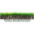 Load image into Gallery viewer, 2 Lb Soil Vigor® Large Granules – Water-Storing Crystals for Thriving Gardens
