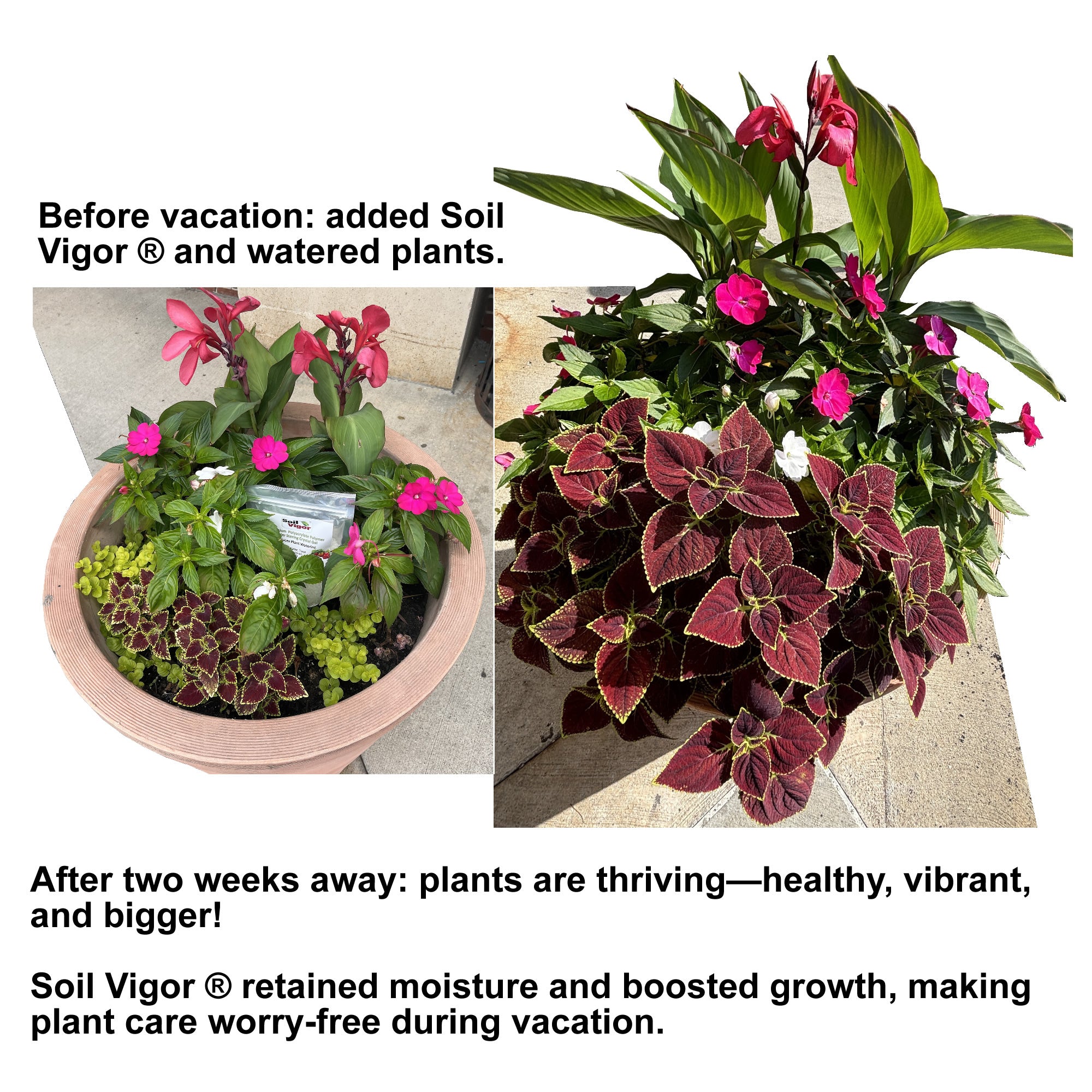 2 Lb Soil Vigor® Large Granules – Water-Storing Crystals for Thriving Gardens