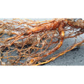 Load image into Gallery viewer, Soil Vigor® Fine Potassium Polymer Granules for Soil Vitality Boost – 40 lb
