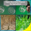 Load image into Gallery viewer, SAP Super Absorbent Polymer Soil Moisturizer for Gardens, Lawns & Plants – 5 lb Bag
