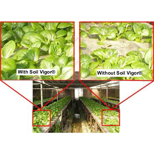 Soil Vigor® Fine Granules – Water-Storing Crystals for Lawns & Garden Beds
