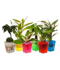 Load image into Gallery viewer, Red Water Gel Beads – Glossy, Superabsorbent Beads for Décor and Arrangements
